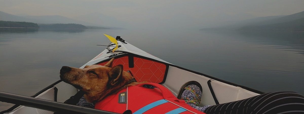 Kayaking With Dog