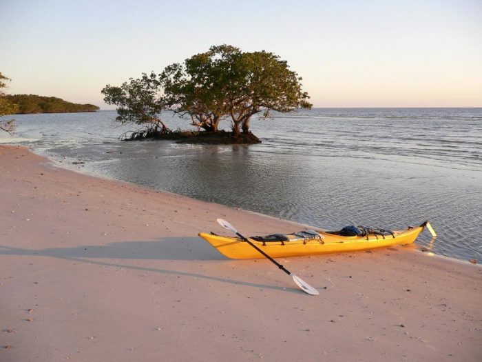 kayaking in Everglades