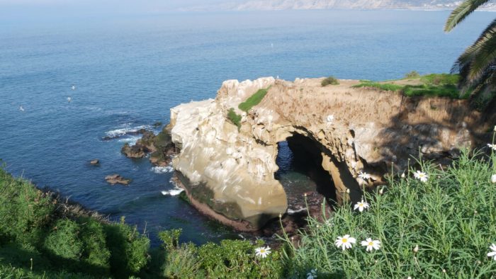 Sea Cave in La Jolla Cove