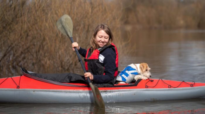Things To Consider Before Taking Your Dog For Kayaking